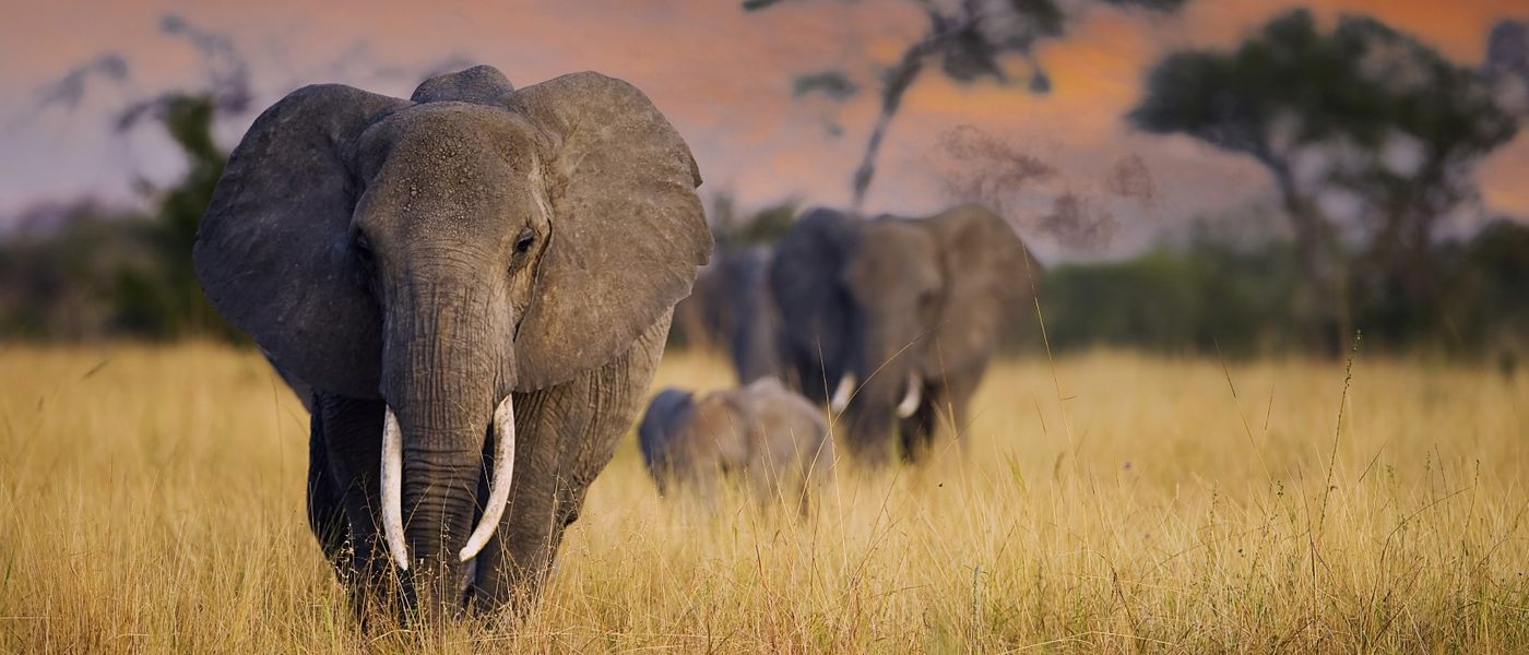 Wohin in Afrika? Reiseziele für jeden Monat