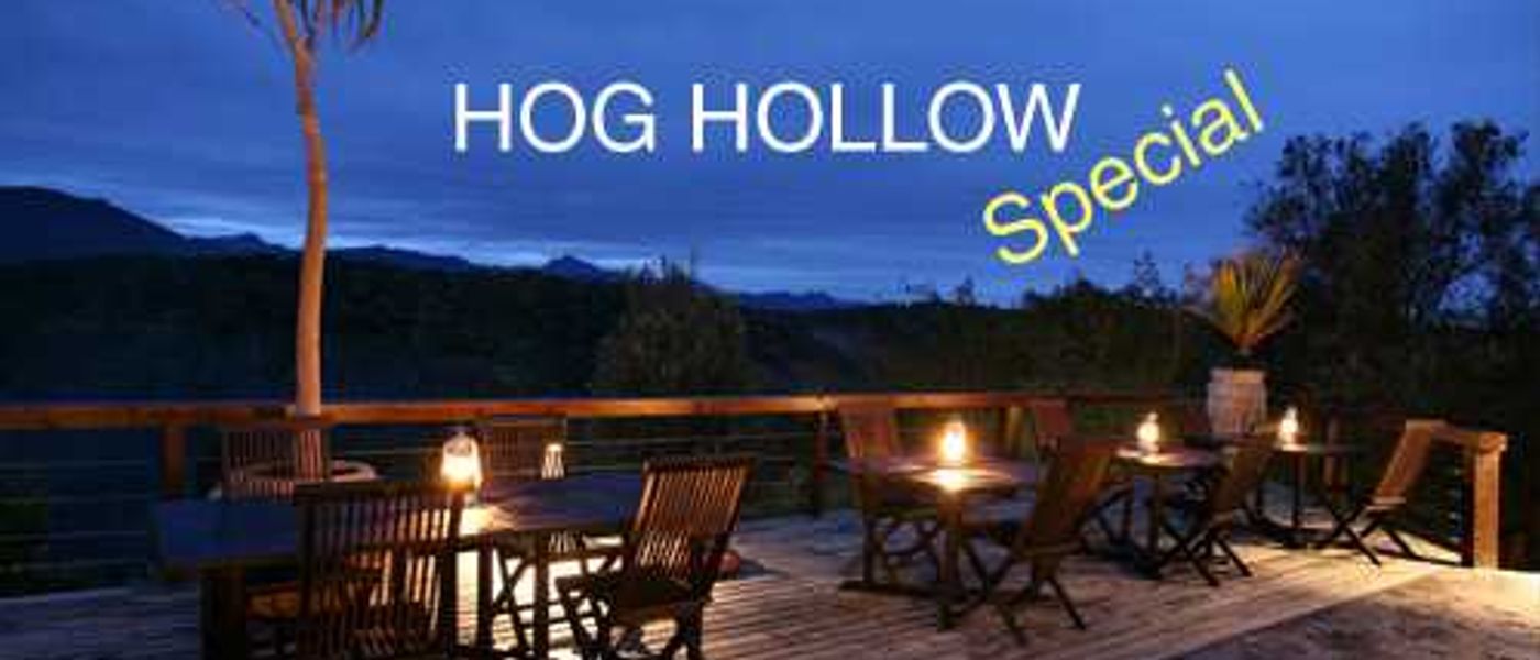 Happy Hogs