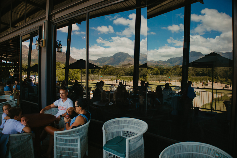 Root44 vibe and views