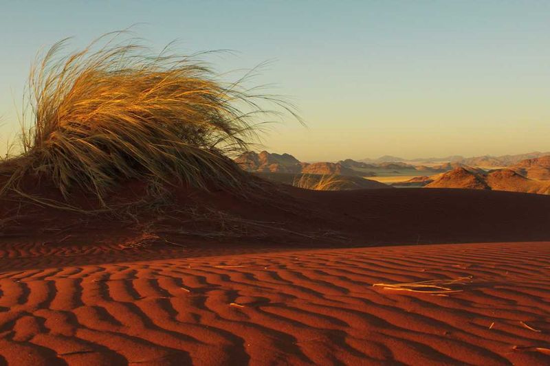 On the Dunes in Namibia