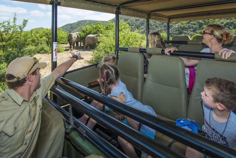 A safari guide points toward two elephants grazing near the bushes as a family, including children, excitedly looks on from their open safari vehicle.