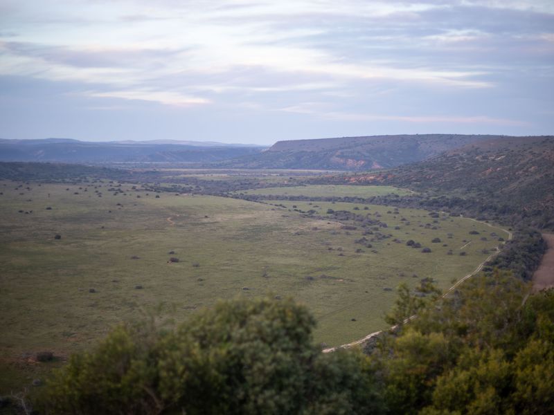 Wunderschöner Ausblick im Amakhala Game Reserve