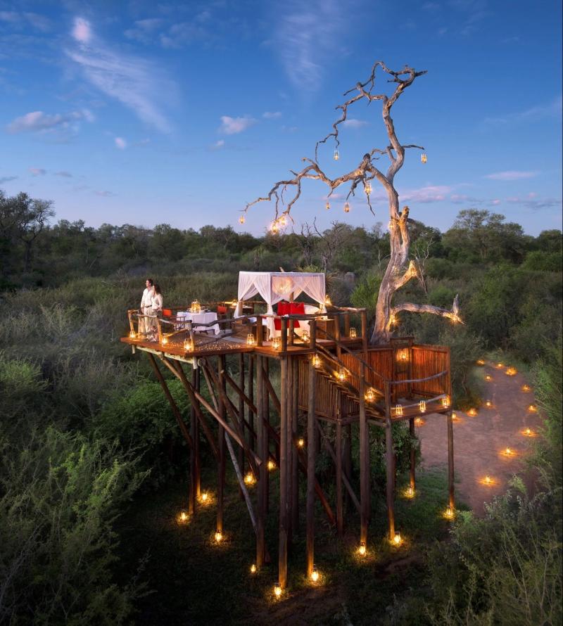 romantic safari