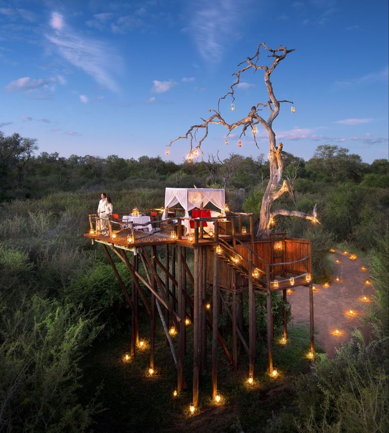romantic safari