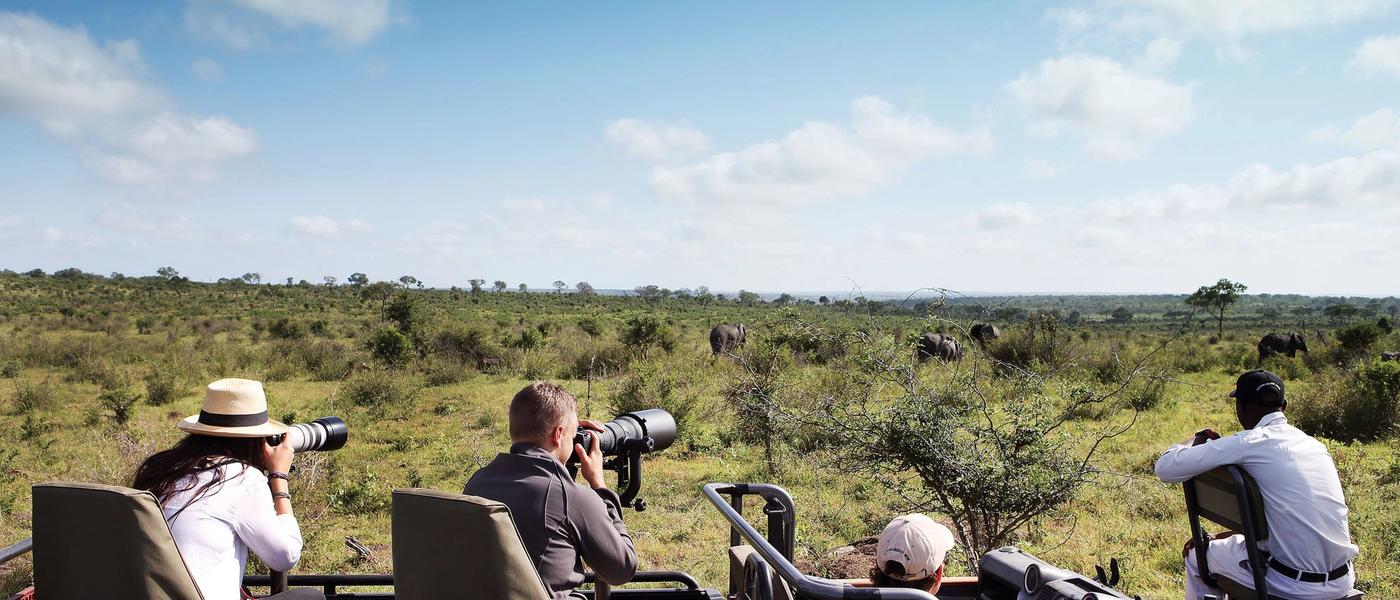 Our Top 5 Photographic Safaris in the Sabi Sand