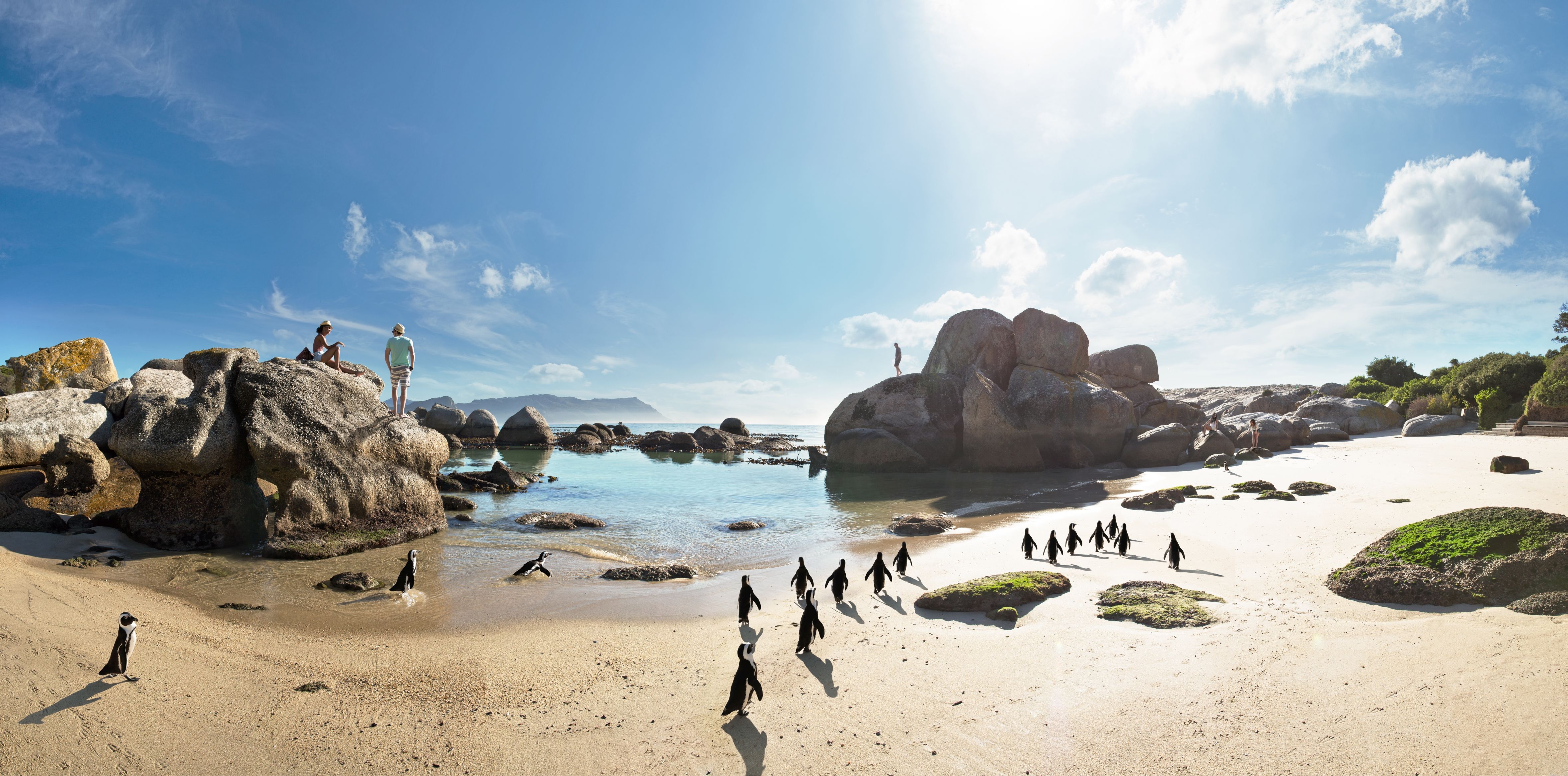 8 Unique Things to Do in South Africa