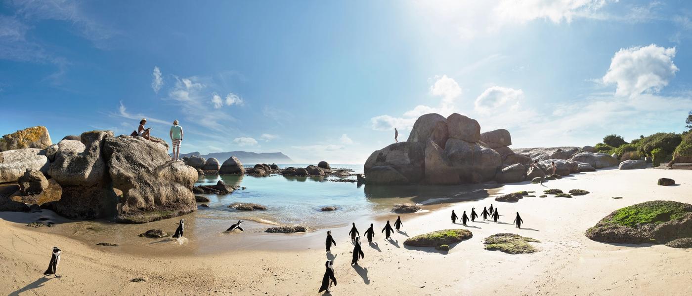 8 Unique Things to Do in South Africa