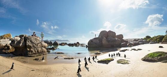 8 Unique Things to Do in South Africa