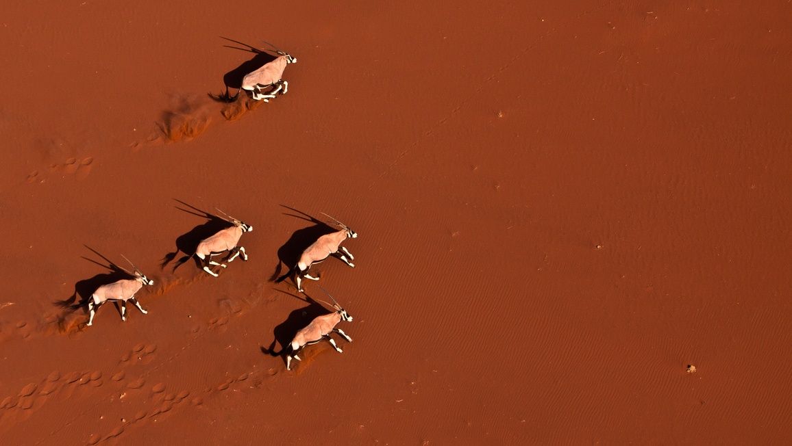 A Drone Through Namibia