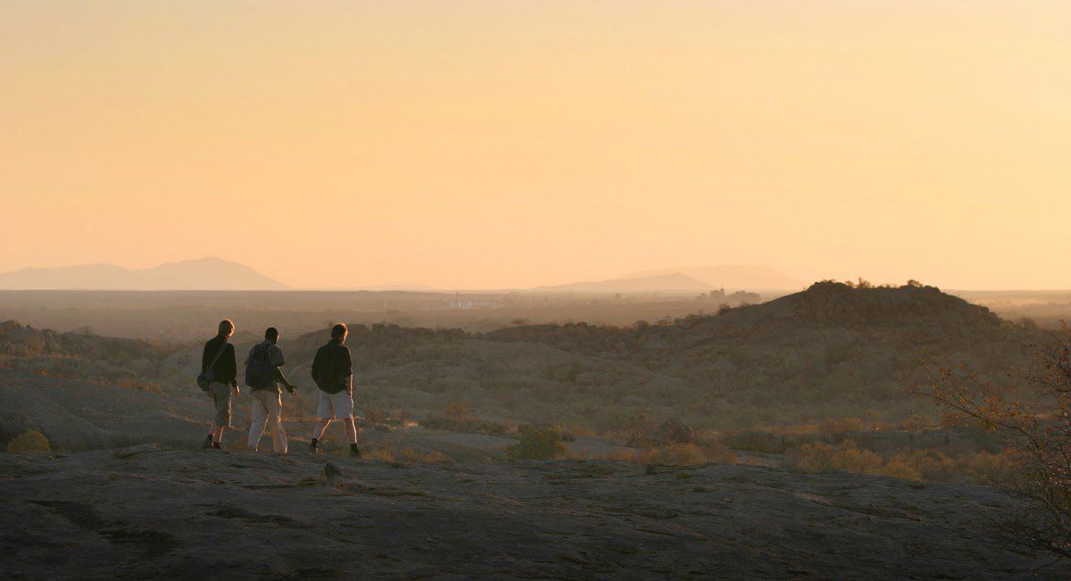 On the Ground: What to Expect On A Safari Bush Walk