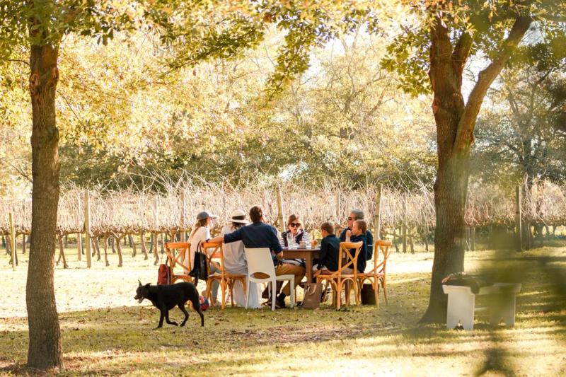 One of the tables beside the vineyards at The Table at De Meye