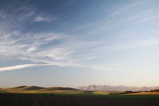 Behind the lens – Billy Hare