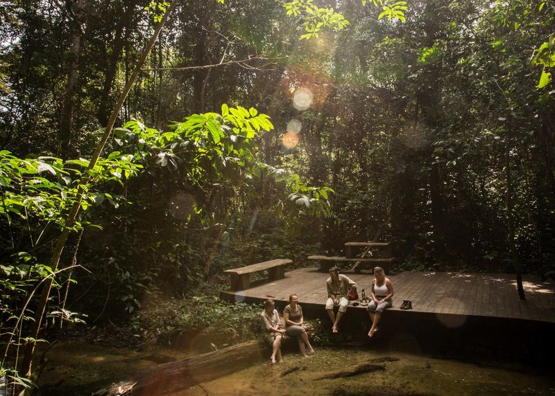 Guests enjoying the tranquility of the Odzala forest