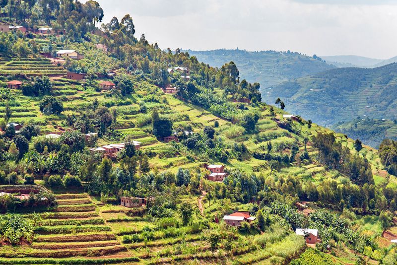 Muvumba River Valley covered with terraced fields and dotted with house