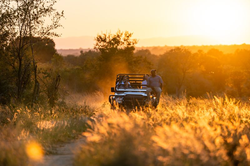 Game drive in Kruger National Park, of one the best national parks in Africa