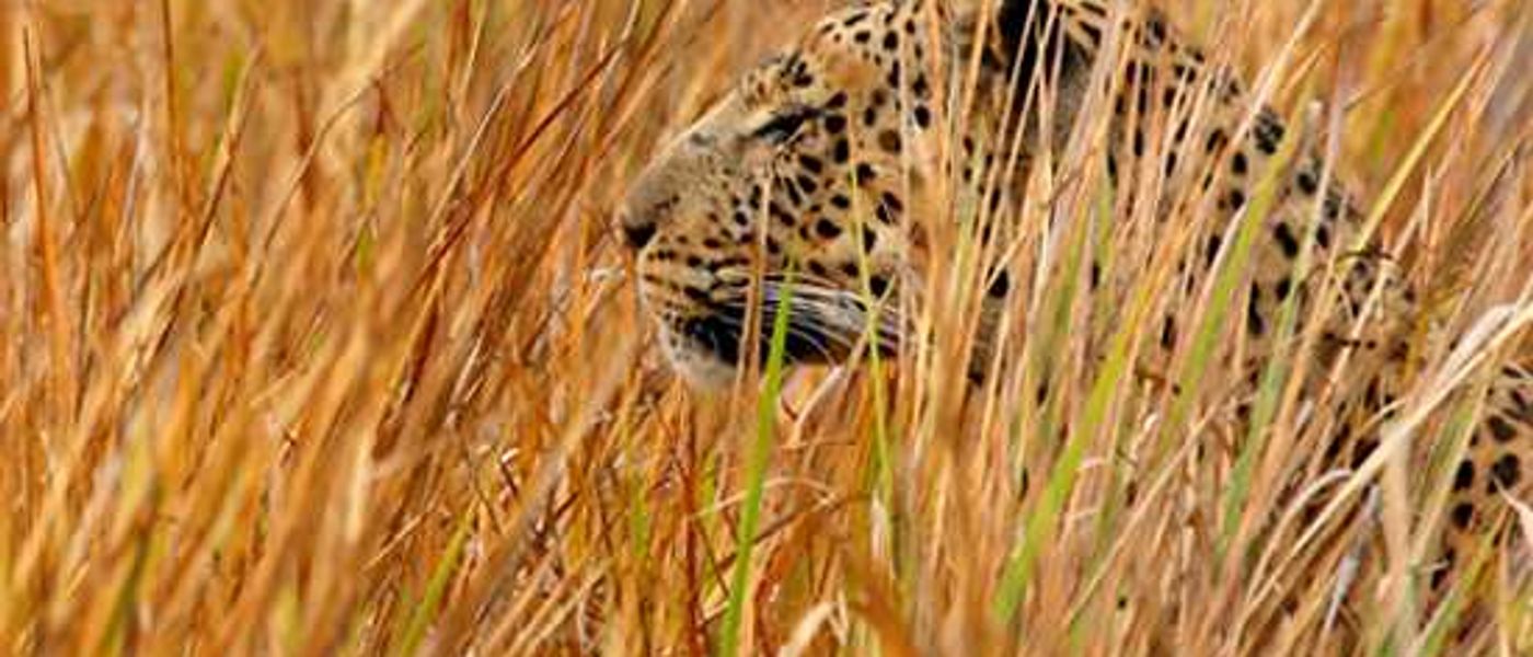 Photography Competition Winners at Xakanaxa