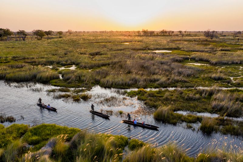 Guests glide through flooded grasslands in mokoros (dugout canoes) at sunset, experiencing the unique rhythm of Botswana’s safari seasons in the Okavango Delta.