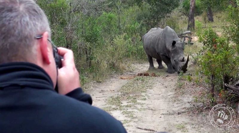 Kruger National Park
