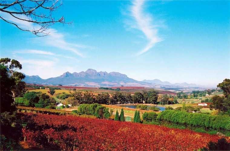 Cape Winelands