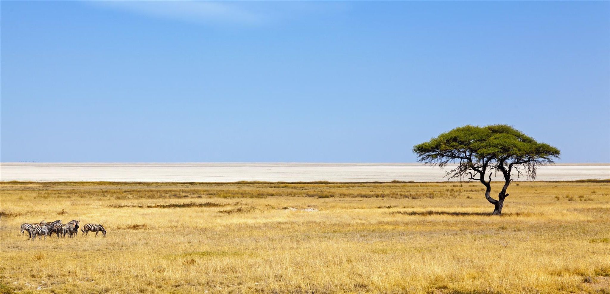 Meine Reise | Atemberaubendes Namibia