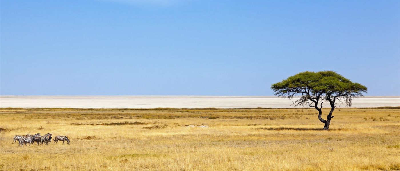 Meine Reise | Atemberaubendes Namibia