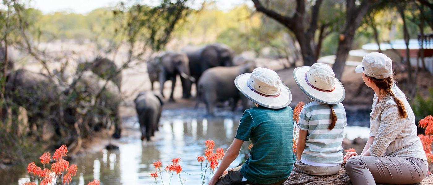 Wilderness Playground: A Family-Friendly Safari in Africa and What to Expect