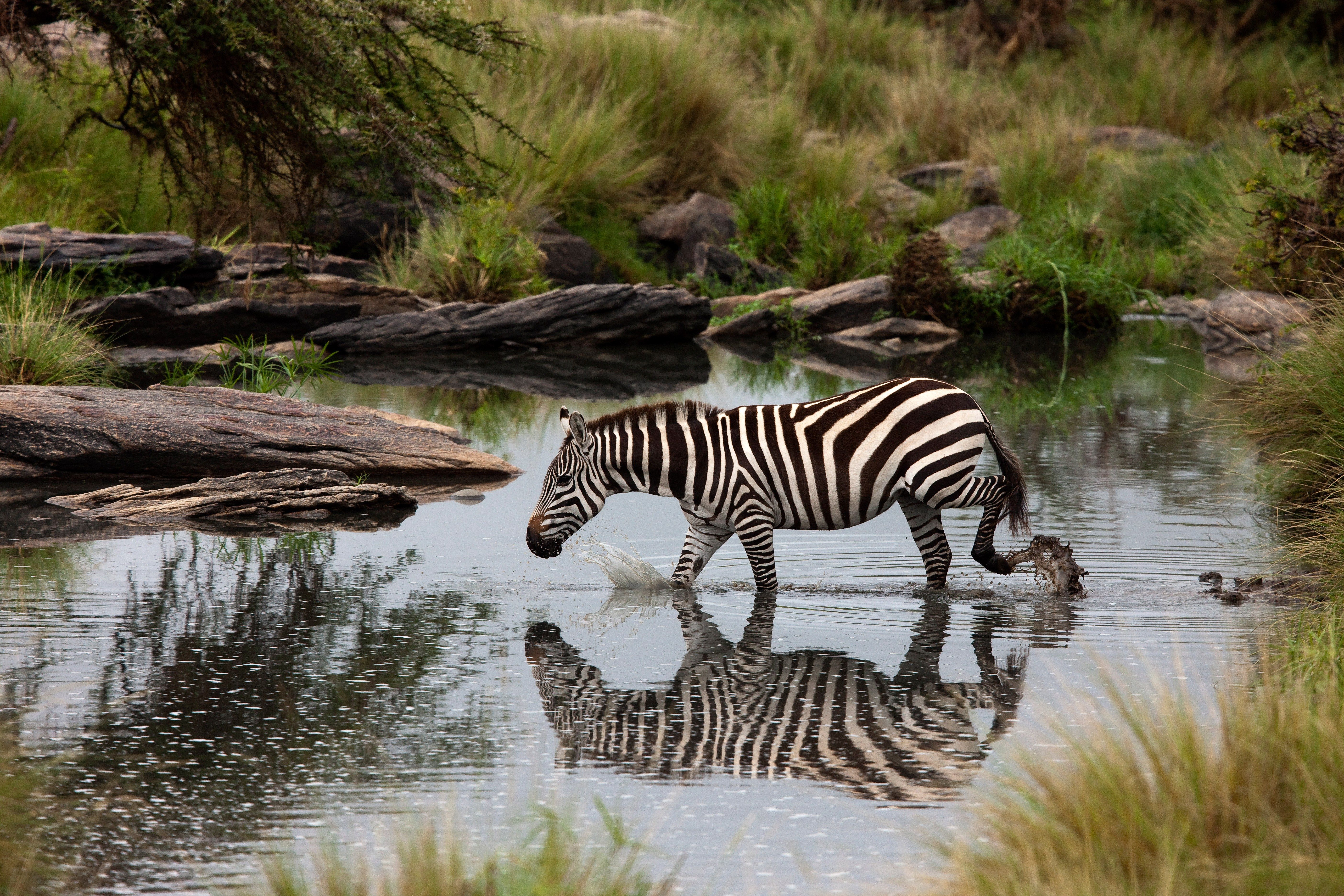 20 interessante Fakten über Afrika