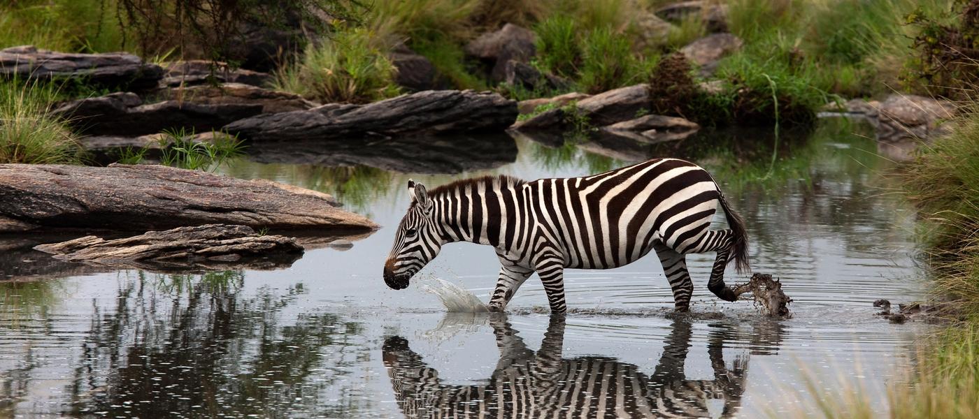 20 interessante Fakten über Afrika