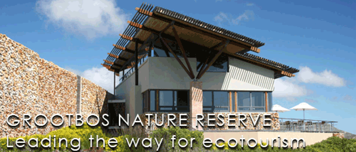 An Inspirational Getaway to Grootbos