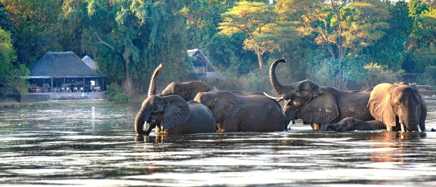 The Oval Office Called. We Answered – With a Safari