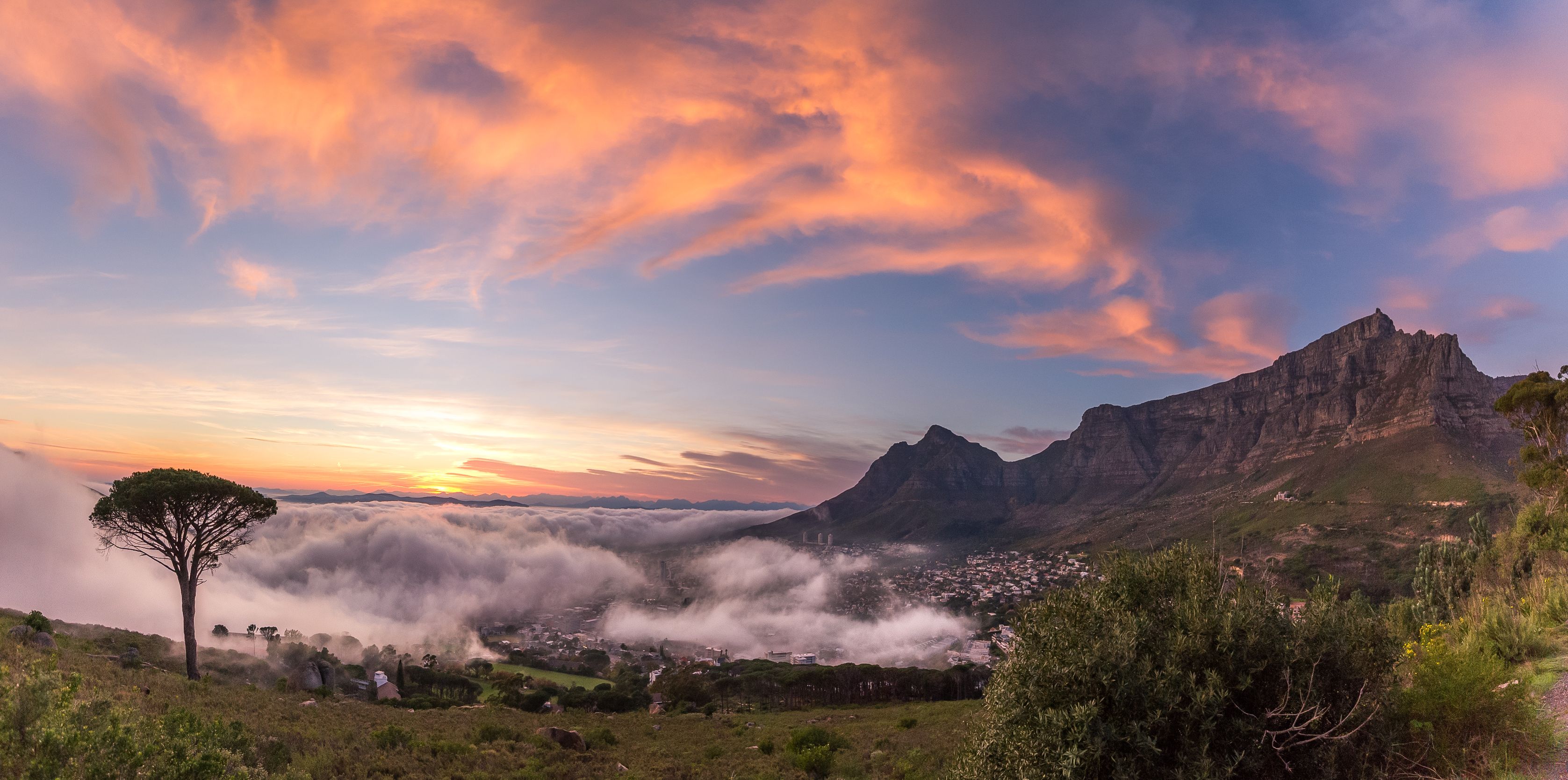 Africa's Photographer of the Year: Cape Town Winner