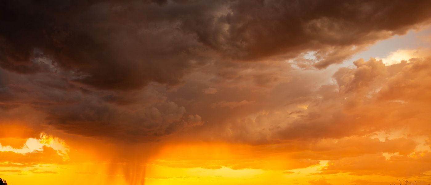 Marg and Dick’s Golden Wedding Anniversary in Africa