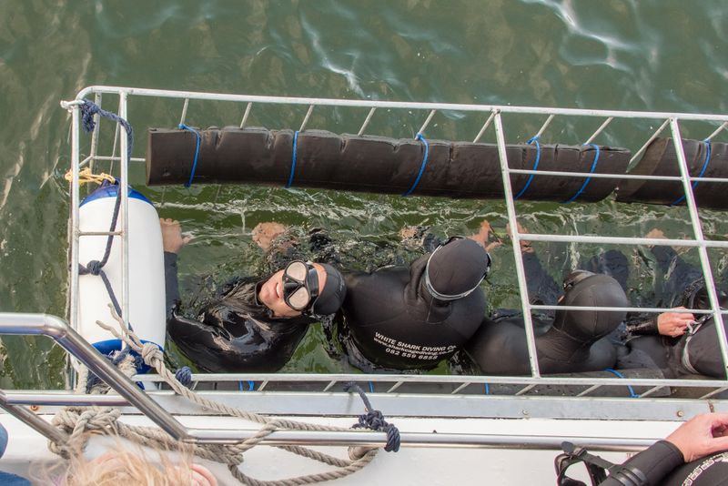 Shark cage diving