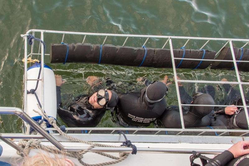 Shark cage diving