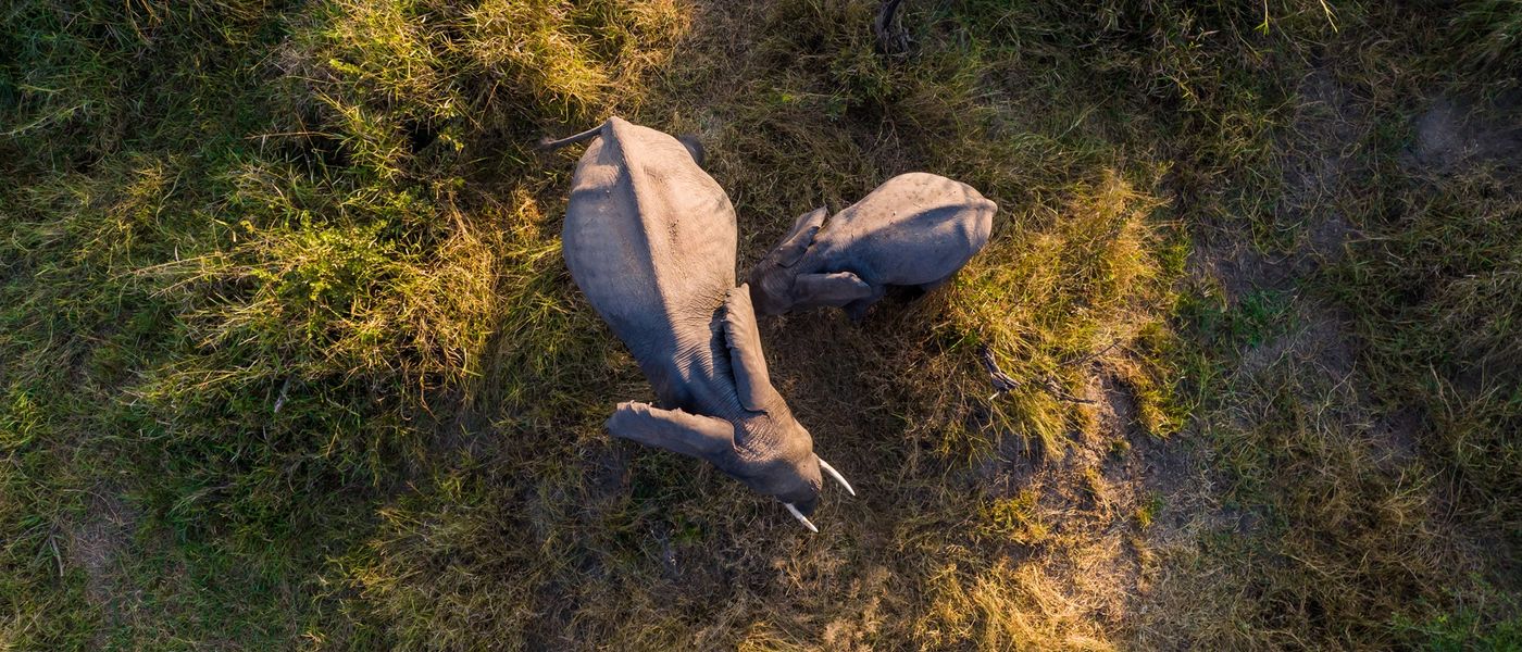 Experiencing the Big 5 from Land, Water and Sky