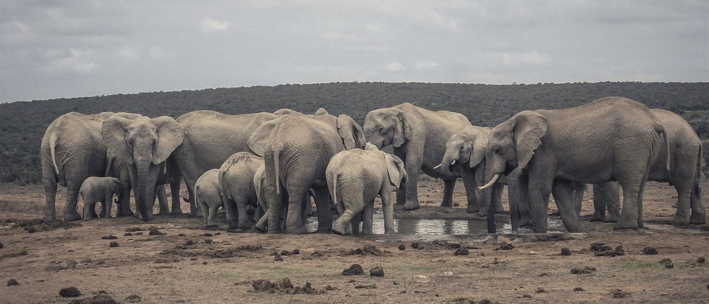 The Most Visited Attractions in East Africa