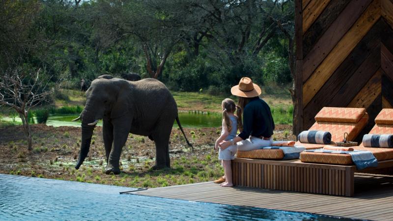 Elephant sighting from one of the lodges