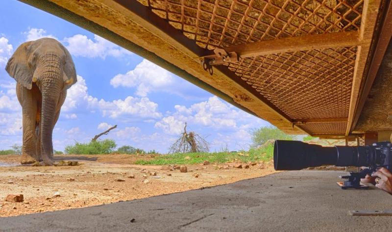 inside the hide of Last Word Madikwe