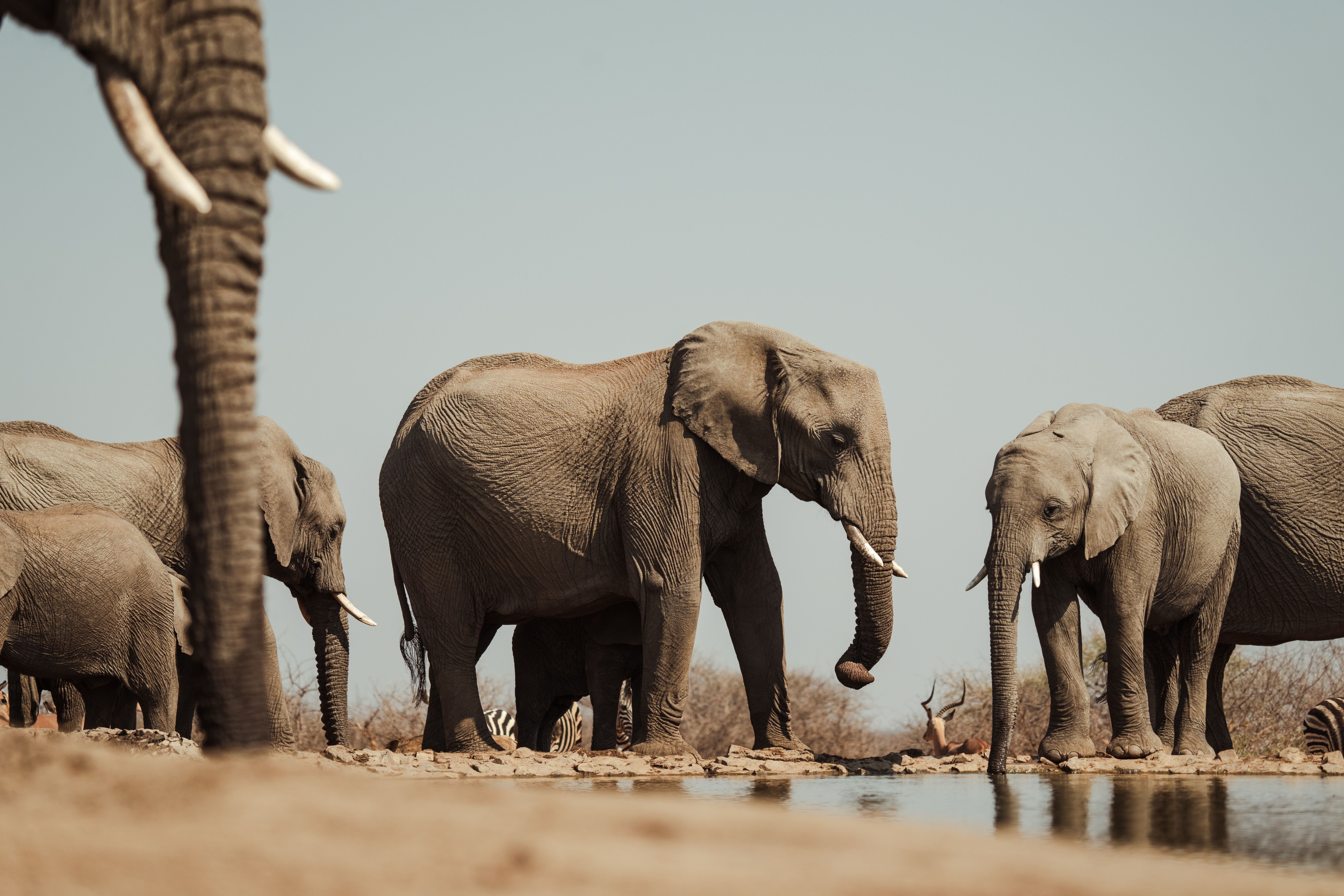 Africa's Alchemy: The Power Of Extended Stays in Africa