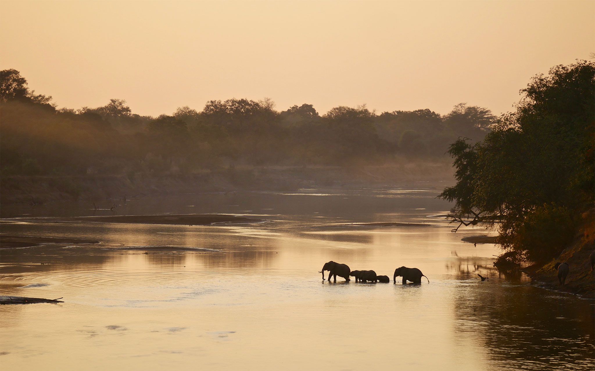 What Makes a Zambian Safari So Special?
