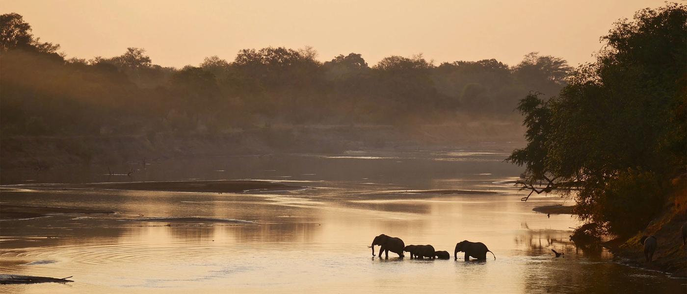 What Makes a Zambian Safari So Special?