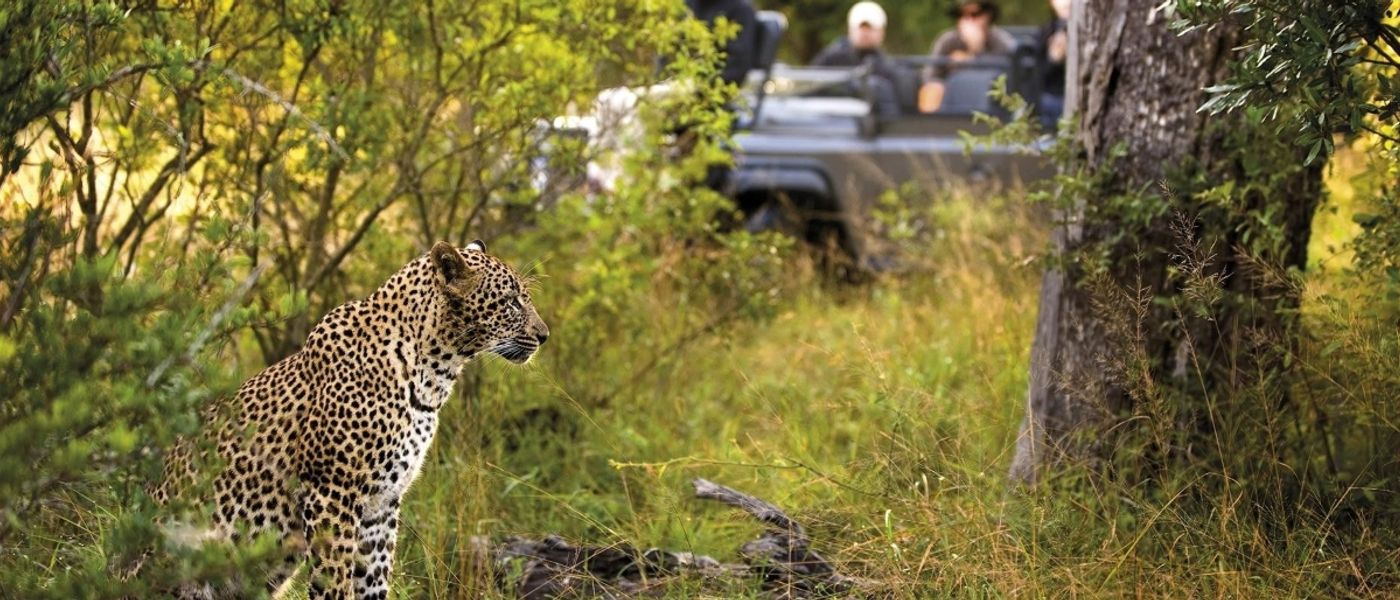 Inside the Kruger: A Conversation with a Safari Expert