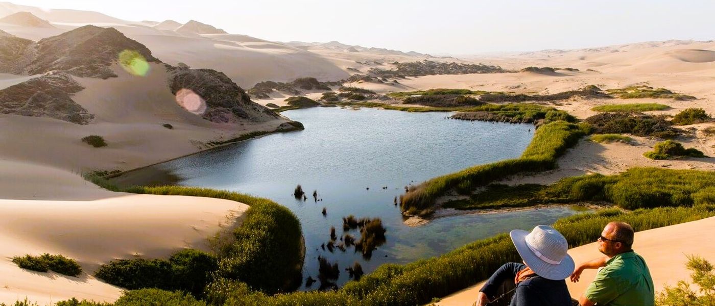 Our Travel Experts' Picks for Your African Safari 2024 Adventures