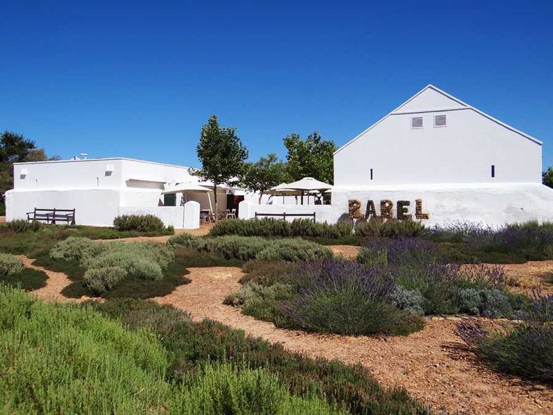 Babel Restaurant