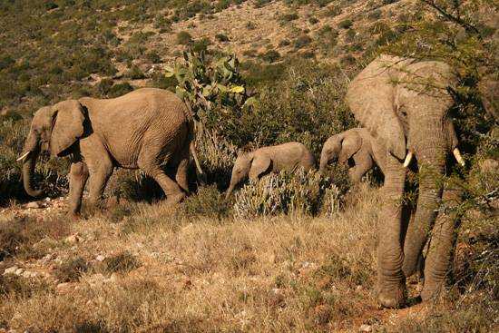 Discovering the Eastern Cape