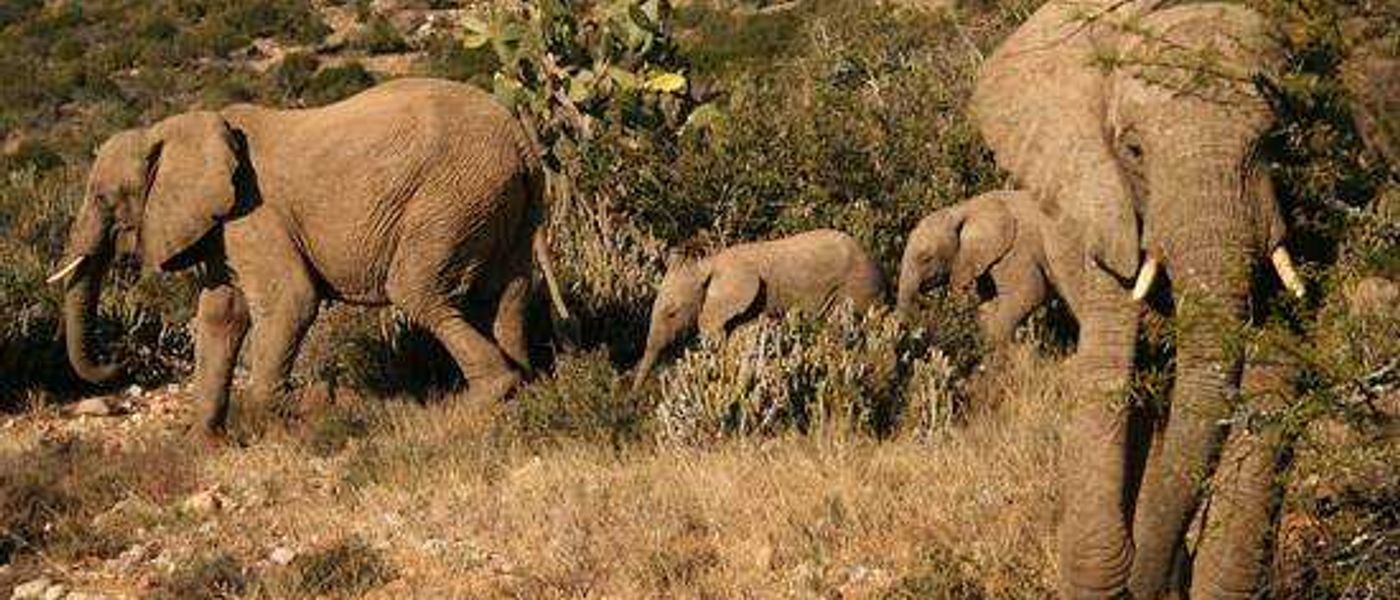 Discovering the Eastern Cape