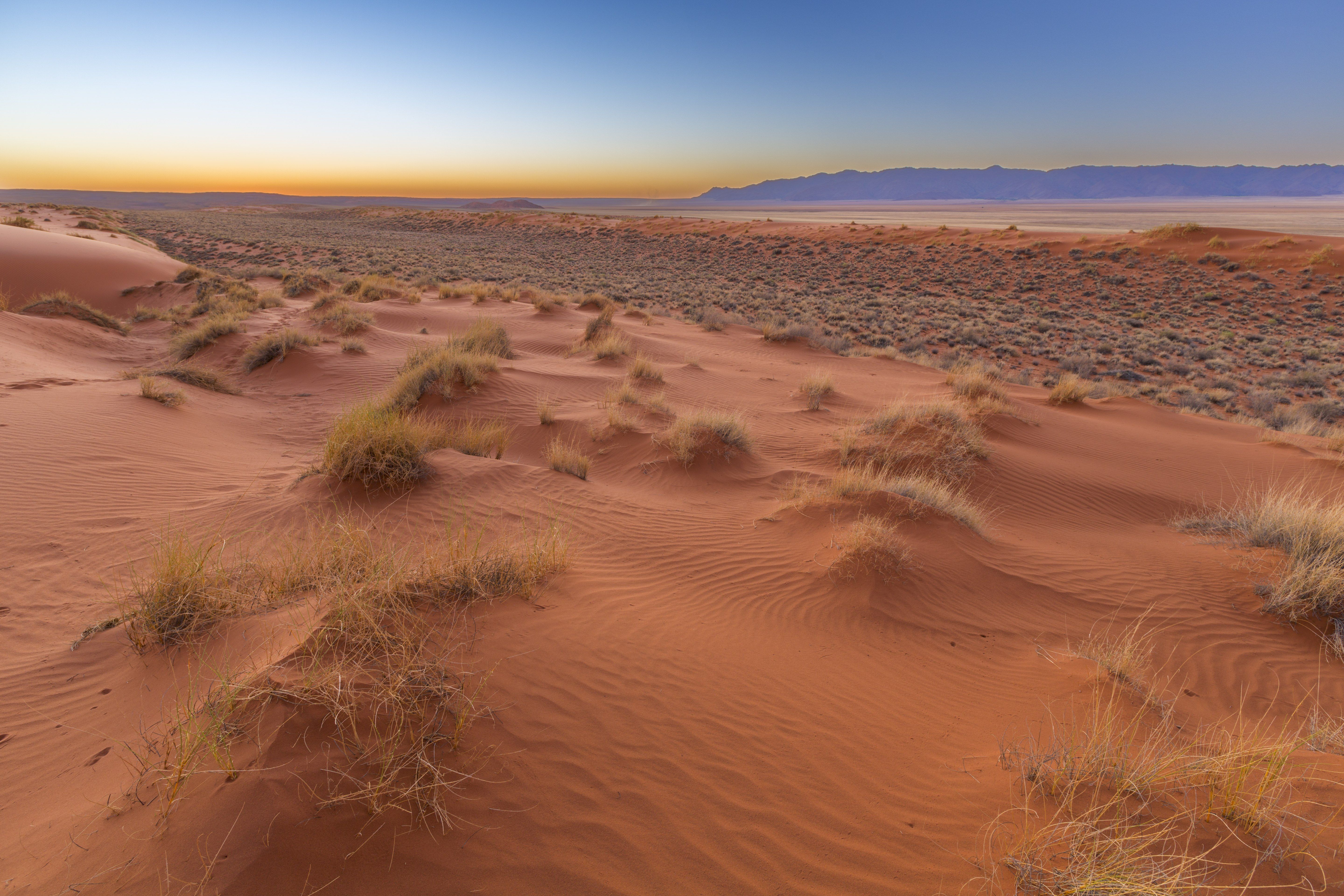 5 raisons de visiter le désert du Kalahari