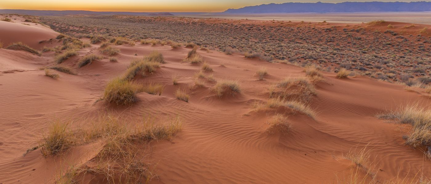 5 raisons de visiter le désert du Kalahari