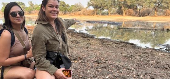 Zimbabwe Safari: Beyond the Obvious