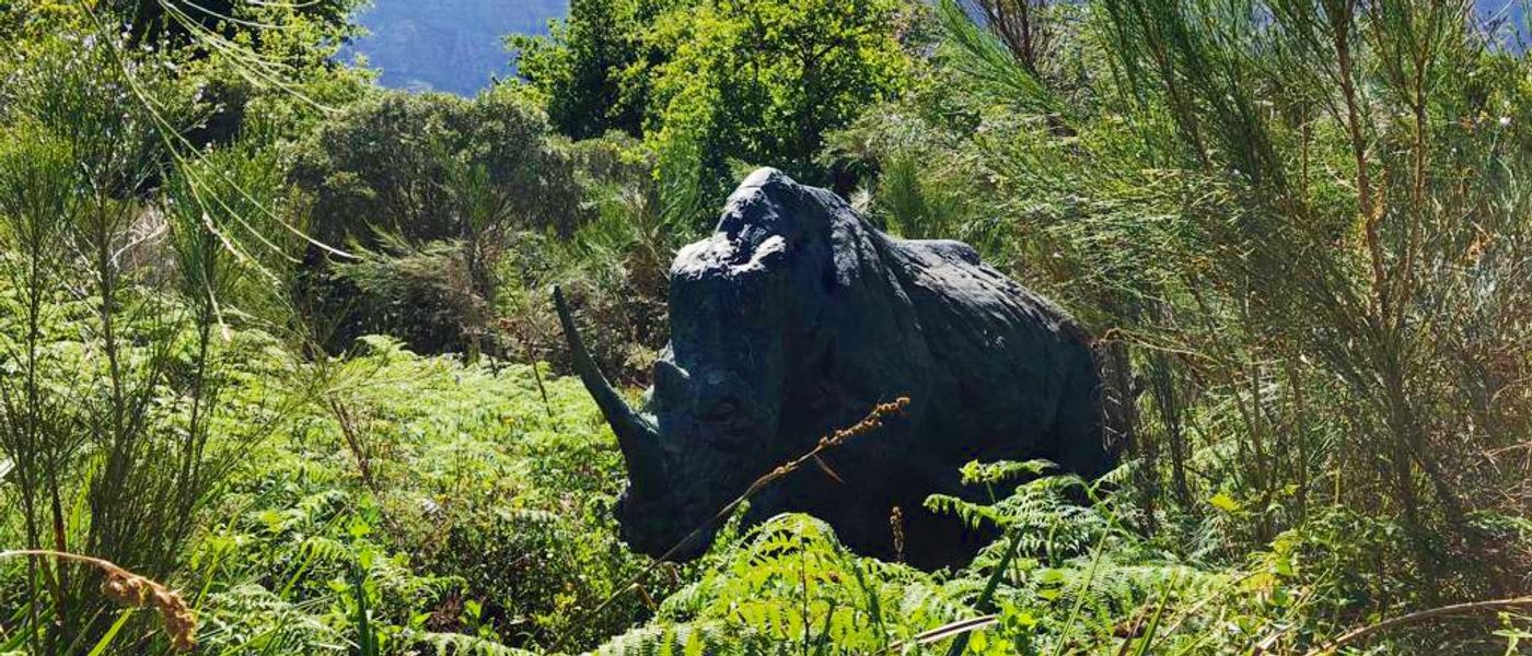 Dylan Lewis Sculpture Garden | Stellenbosch